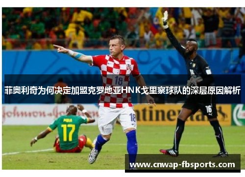 菲奥利奇为何决定加盟克罗地亚HNK戈里察球队的深层原因解析