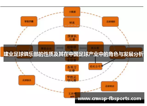 建业足球俱乐部的性质及其在中国足球产业中的角色与发展分析