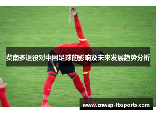 费南多退役对中国足球的影响及未来发展趋势分析 费南多退役对中国足球的影响及未来发展趋势分析