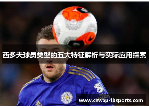 西多夫球员类型的五大特征解析与实际应用探索