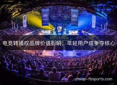 电竞转播权品牌价值影响,年轻用户成争夺核心 电竞转播权品牌价值影响,年轻用户成争夺核心